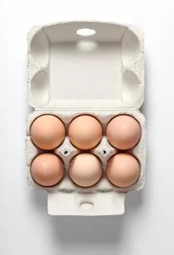 Chicken Eggs in Container Stock Photos