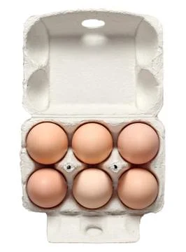 Chicken Eggs in Container Stock Photos