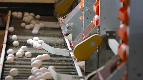 Chicken eggs on the conveyor 動画素材 86415944