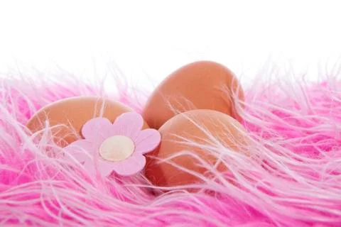 Chicken eggs decorated for easter Foto stock