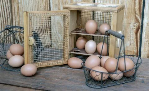 Chicken eggs in a decorative box anf metal baskets on a table in front of a.. Stock Photos