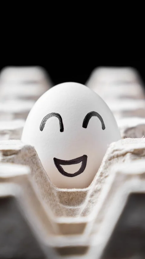 Chicken eggs in egg box carton. Funny faces on brown and white eggs. Video stock 303237273