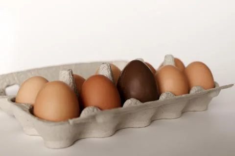 Chicken eggs in an egg container Stock Photos