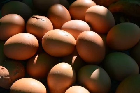 Chicken eggs, Eggs Stock Photos