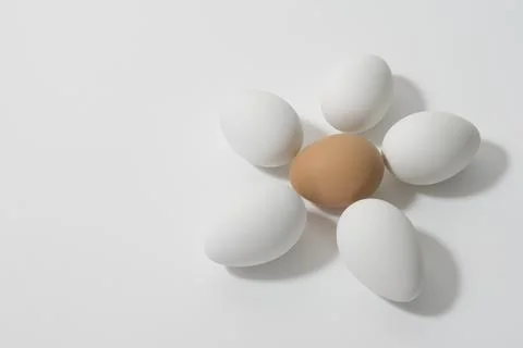 Chicken eggs, five white and one brown in the shape of a flower. Easter Eggs Stock Photos