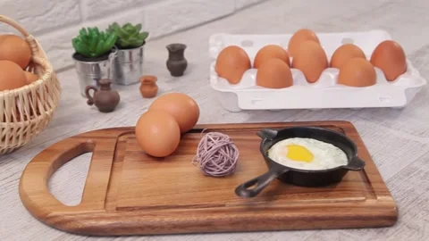 CHICKEN EGGS Stock Footage 155411645