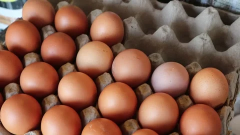 Chicken eggs Video stock 269271657