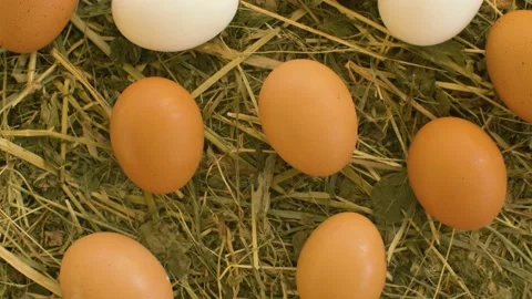 Chicken eggs on fresh hay Stock Footage 137058179
