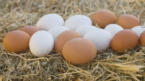 Chicken eggs on fresh hay Stock Footage 139651017