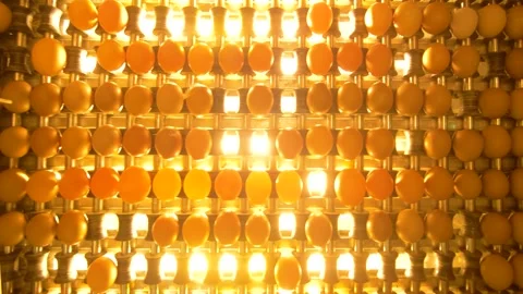 Chicken eggs go on the conveyor 002 Stock Footage 143369899