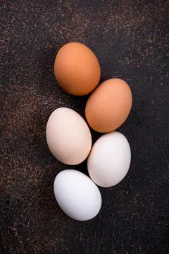 Chicken eggs gradient from light to dark Stock Photos
