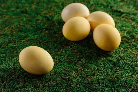 Chicken eggs on the grass Stock Photos
