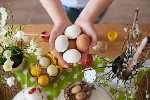 Chicken eggs for the holiday of easter in the hands of a child Stock Photos