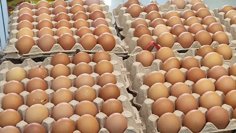 Chicken eggs neatly organized in rows. Stock Footage 341852387