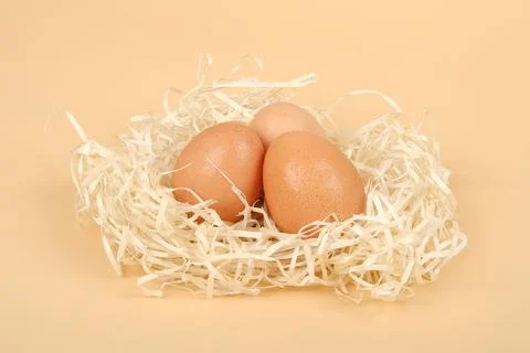 Chicken eggs in the nest closeup, easter eggs concept Stock Photos