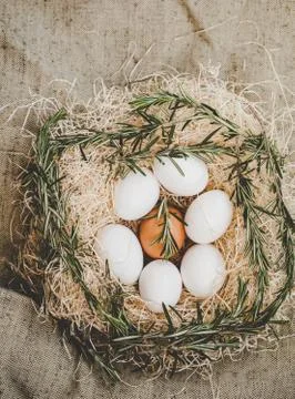 Chicken eggs in nest Stock Photos