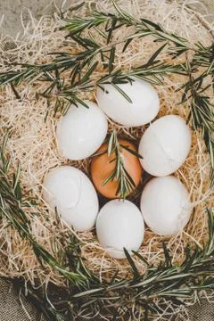 Chicken eggs in nest Stock Photos