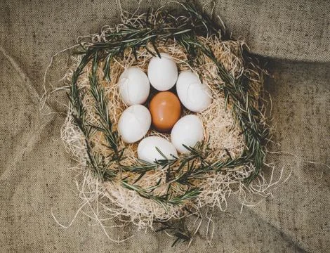 Chicken eggs in nest Stock Photos