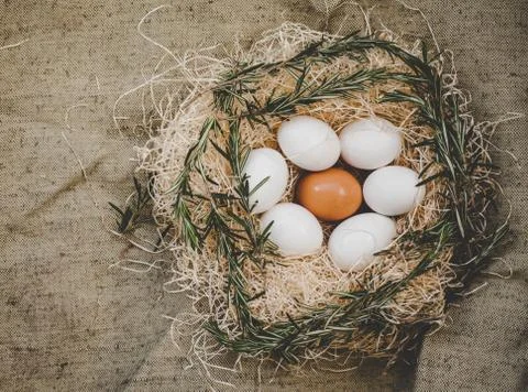 Chicken eggs in nest Stock Photos