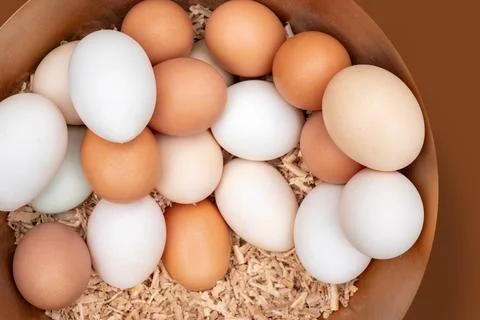 Chicken eggs in the nest. Stock Photos