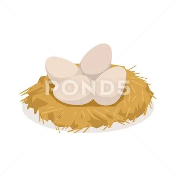 Chicken eggs in the nest, poultry breeding vector Illustration Stock Illustration