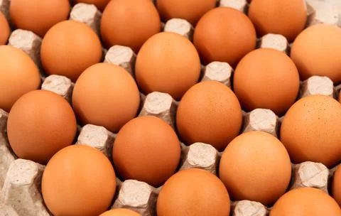 Chicken eggs in an organic box on a white background close-up. Easter Stock Photos