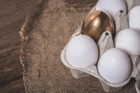 Chicken eggs in the package Stock Photos