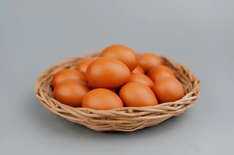 Chicken eggs in a panel. Clean chicken eggs on a gray background. Stock Photos