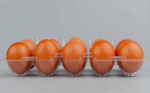 Chicken eggs in a panel. Clean chicken eggs on a gray background. Stock Photos