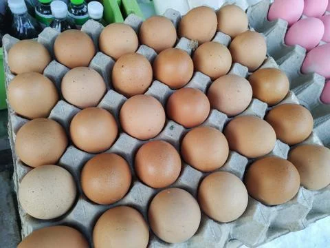 Chicken eggs in the paper panel Stock Photos