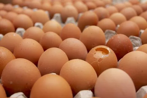 Chicken Eggs Pattern Background with a cracked Egg Shell Stock Photos