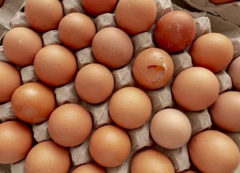 Chicken Eggs Pattern Background with a cracked Egg Shell Stock Photos