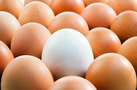 Chicken Eggs Pattern Stock Photos