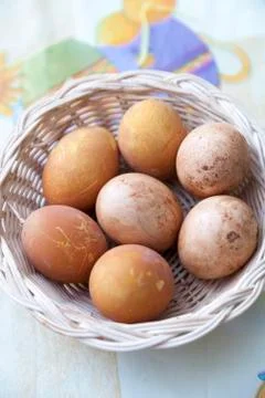 Chicken eggs Stock Photos