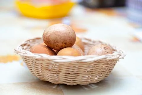 Chicken eggs Stock Photos