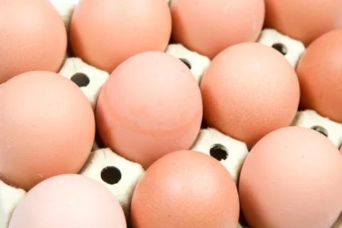 Chicken eggs Foto stock