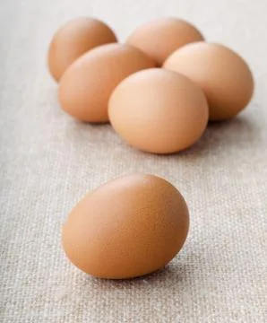 Chicken eggs Stock Photos