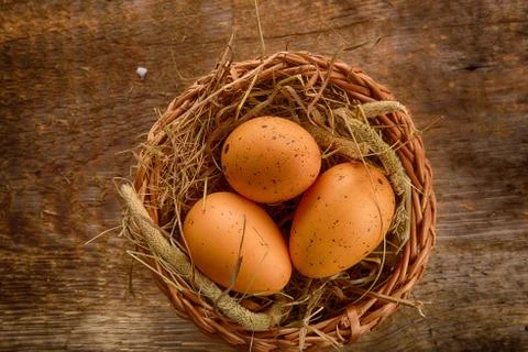 Chicken eggs Stock Photos