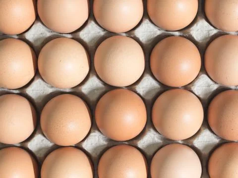 Chicken eggs Stock Photos