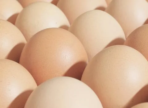 Chicken eggs Stock Photos