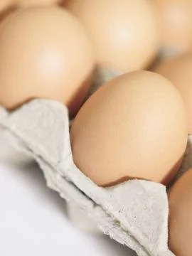 Chicken eggs Stock Photos