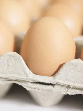 Chicken eggs Stock Photos
