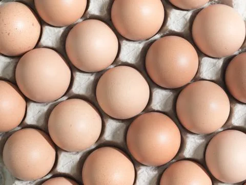 Chicken eggs Stock Photos