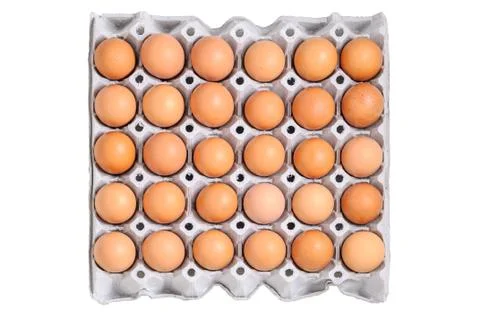 Chicken eggs Stock Photos