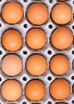 Chicken eggs Stock Photos