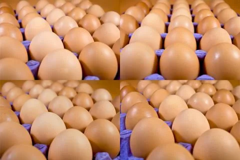 Chicken eggs Stock Photos