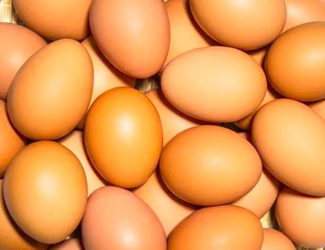 Chicken eggs Foto stock