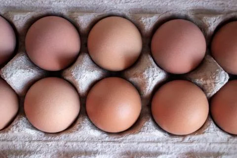 Chicken eggs. Stock Photos