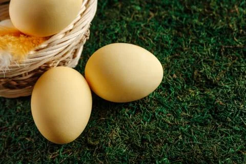 Chicken eggs Stock Photos