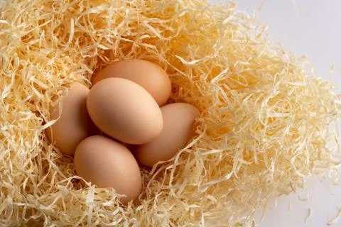Chicken eggs Stock Photos